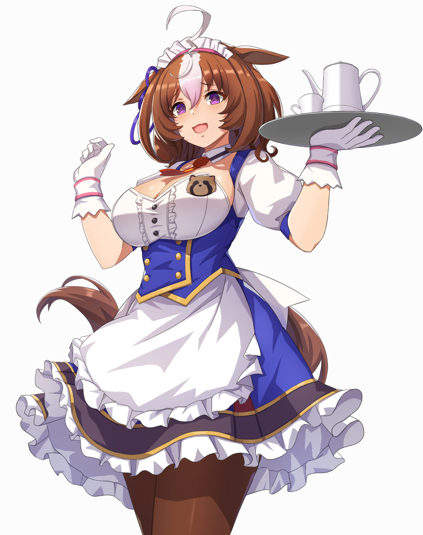 Meisho Doto (Umamusume) Rule 34 Image