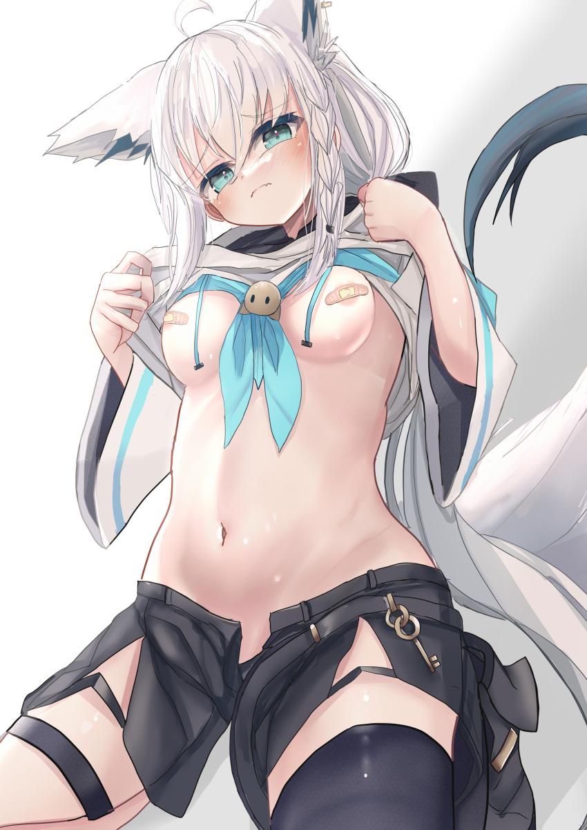 Shirakami Fubuki (Hololive) Rule 34 Image