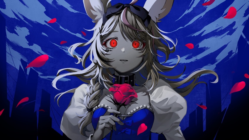 Omaru Polka (Hololive) Rule 34 Image