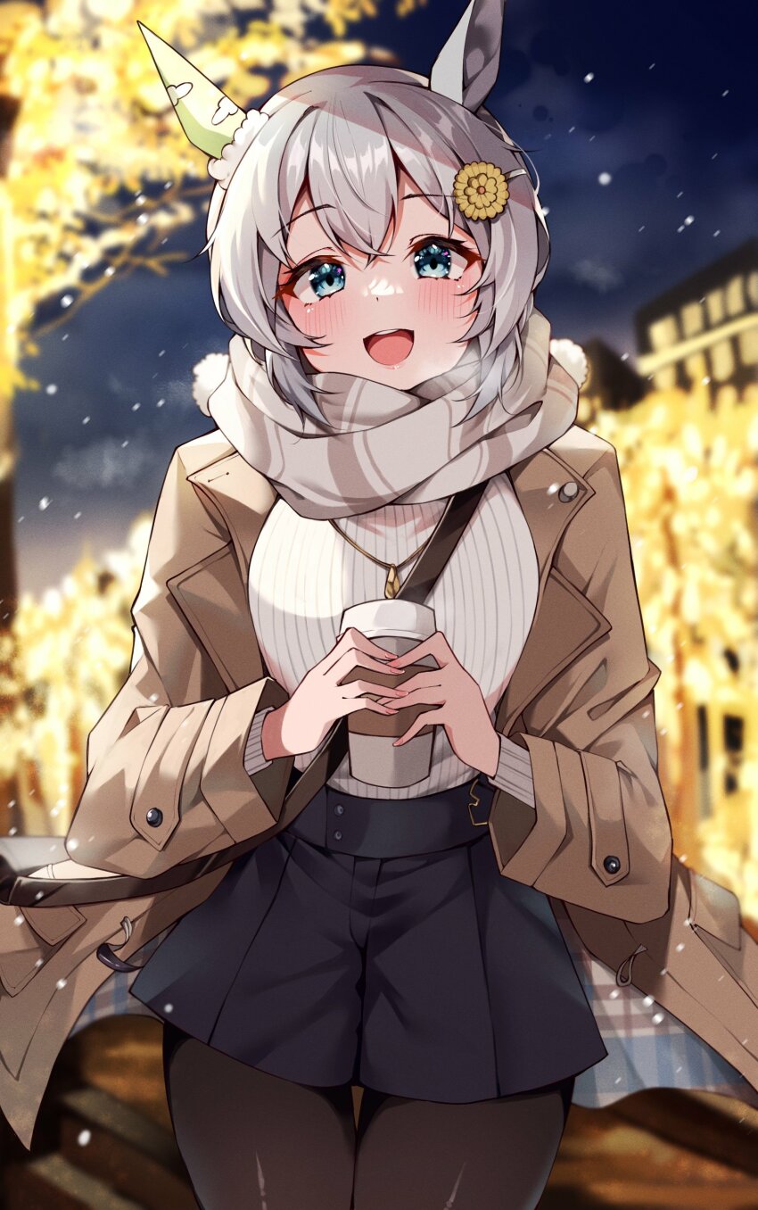 Seiun Sky (Umamusume) Rule 34 Image