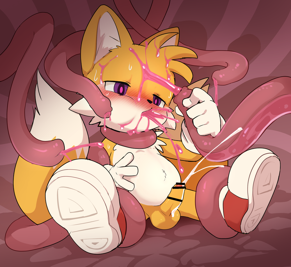 Tails The Fox (Sega) Rule 34 Image