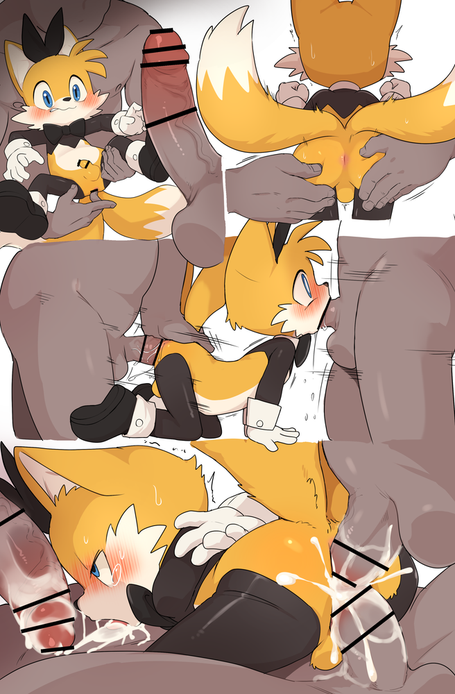 Tails The Fox (Sega) Rule 34 Image