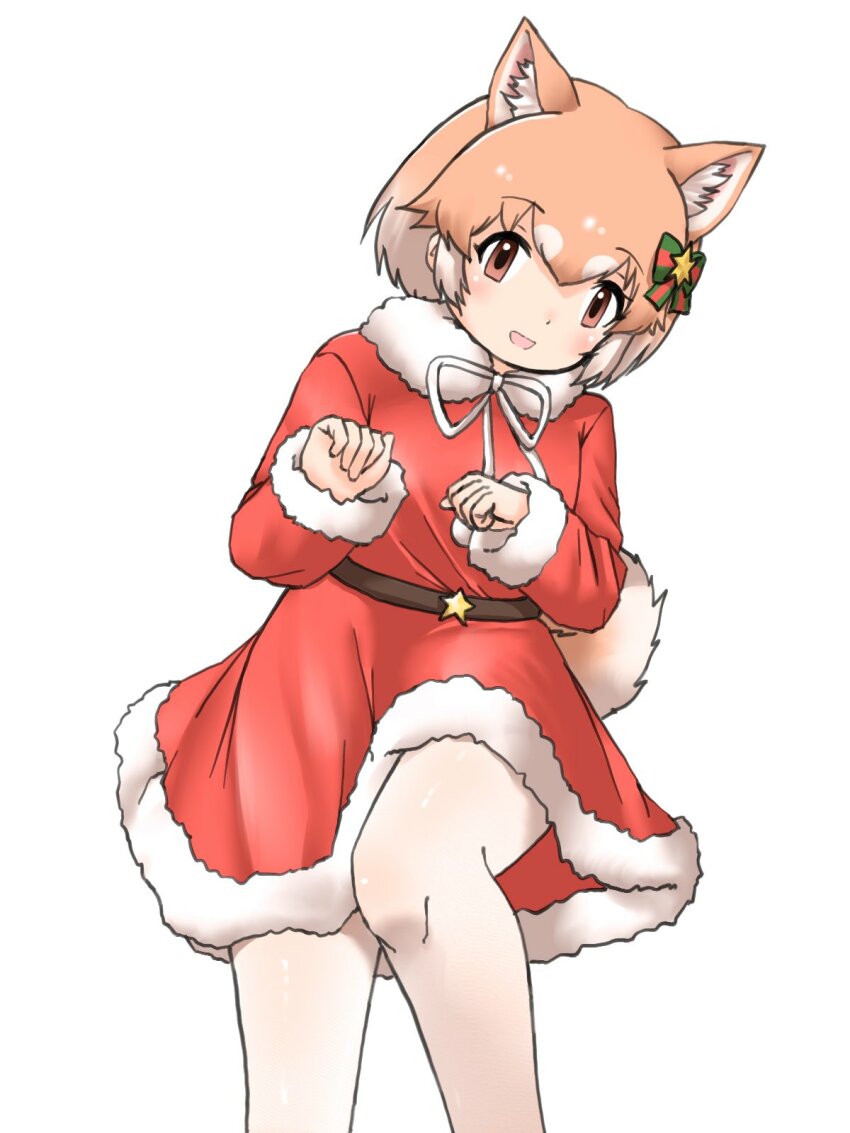 Dog (Mixed Breed) (Kemono Friends) Rule 34 Image