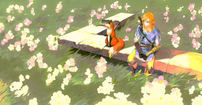 Link (Nintendo) Rule 34 Image