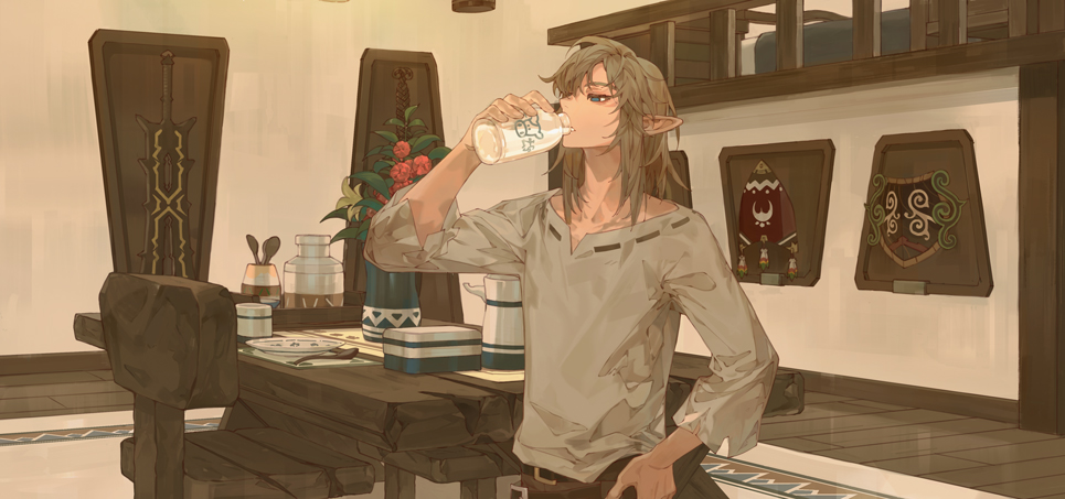Link (Nintendo) Rule 34 Image