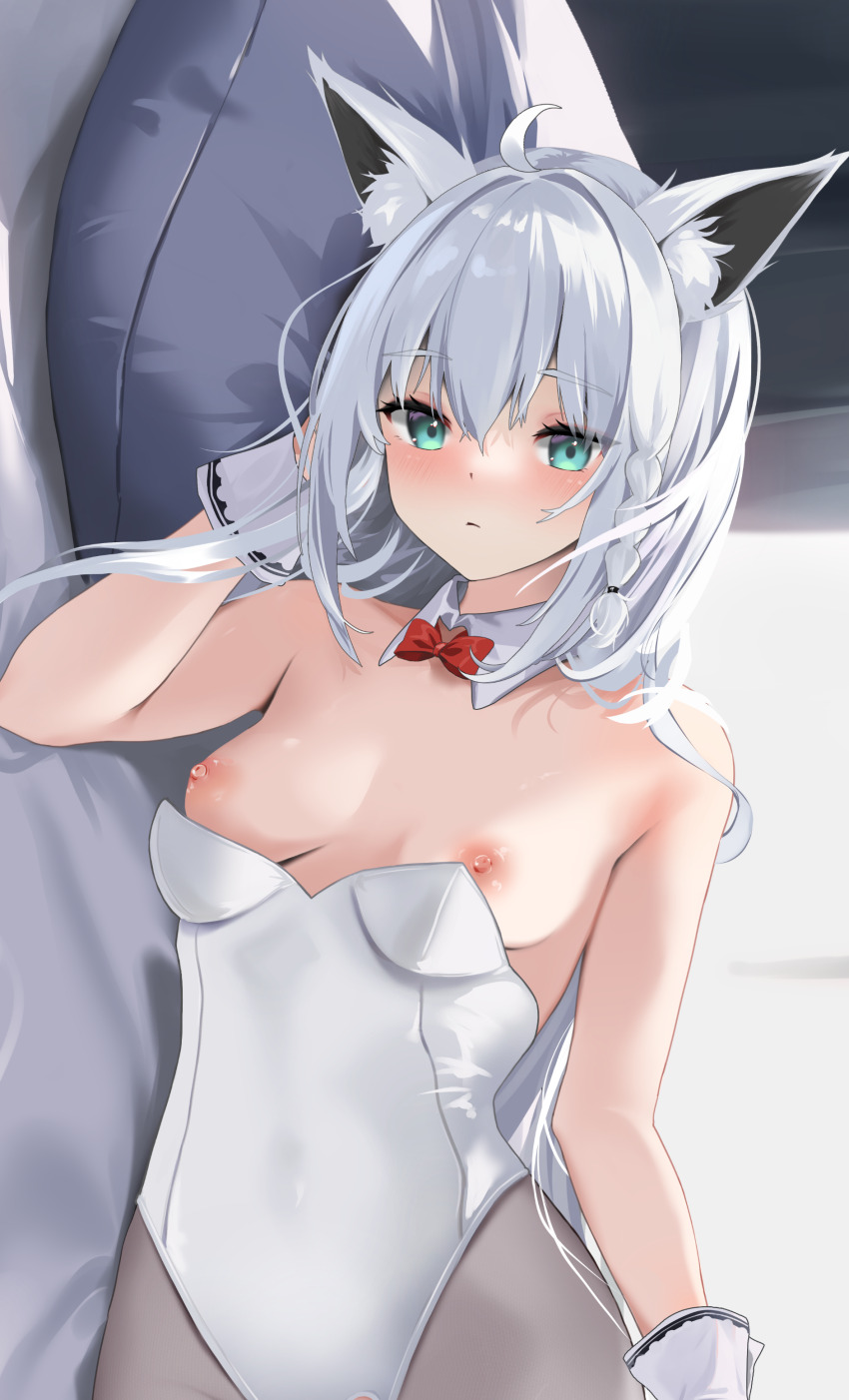 Shirakami Fubuki (Hololive) Rule 34 Image