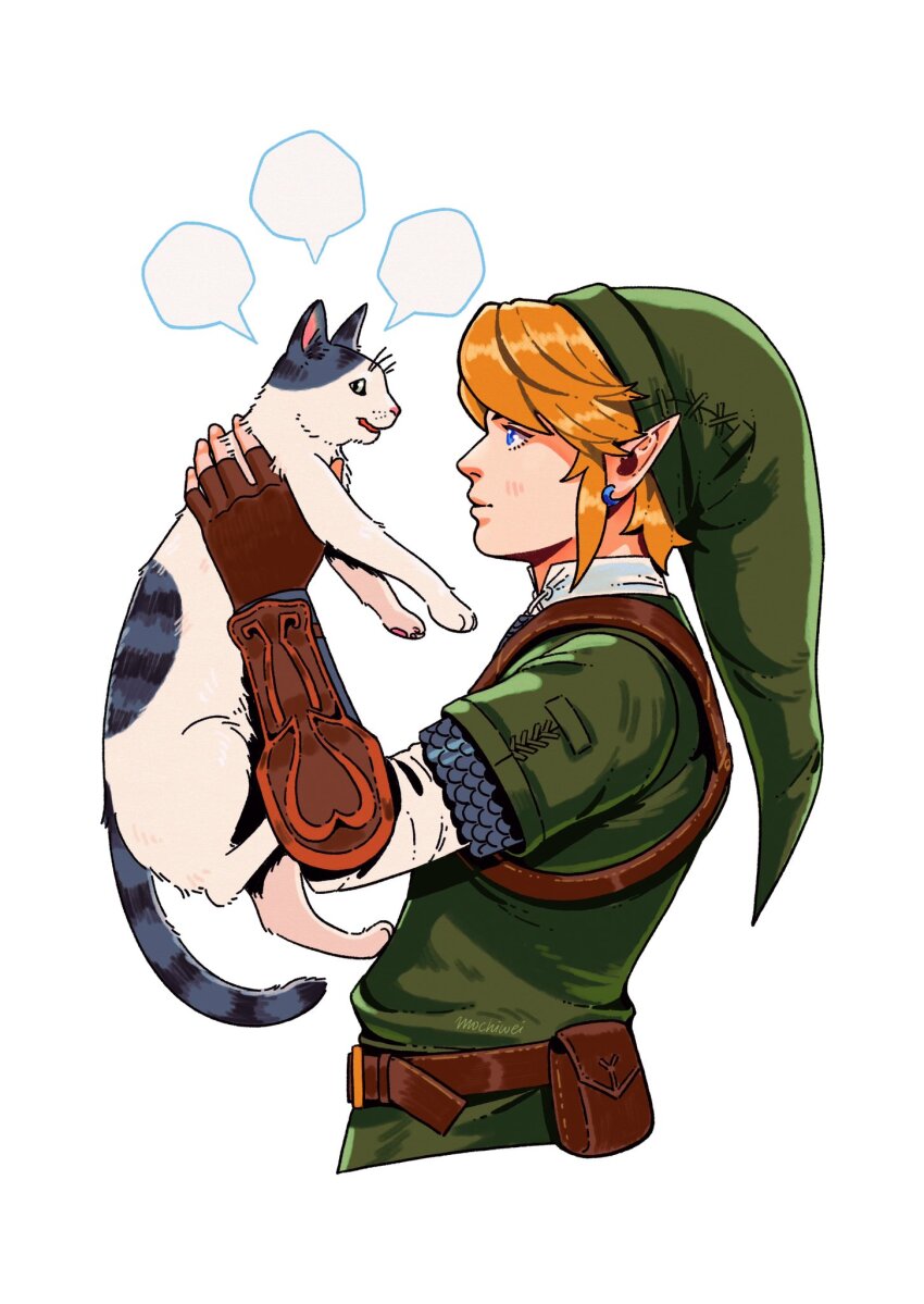 Link (Nintendo) Rule 34 Image