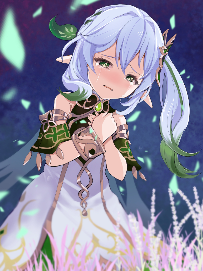 Nahida (Genshin Impact) Rule 34 Image