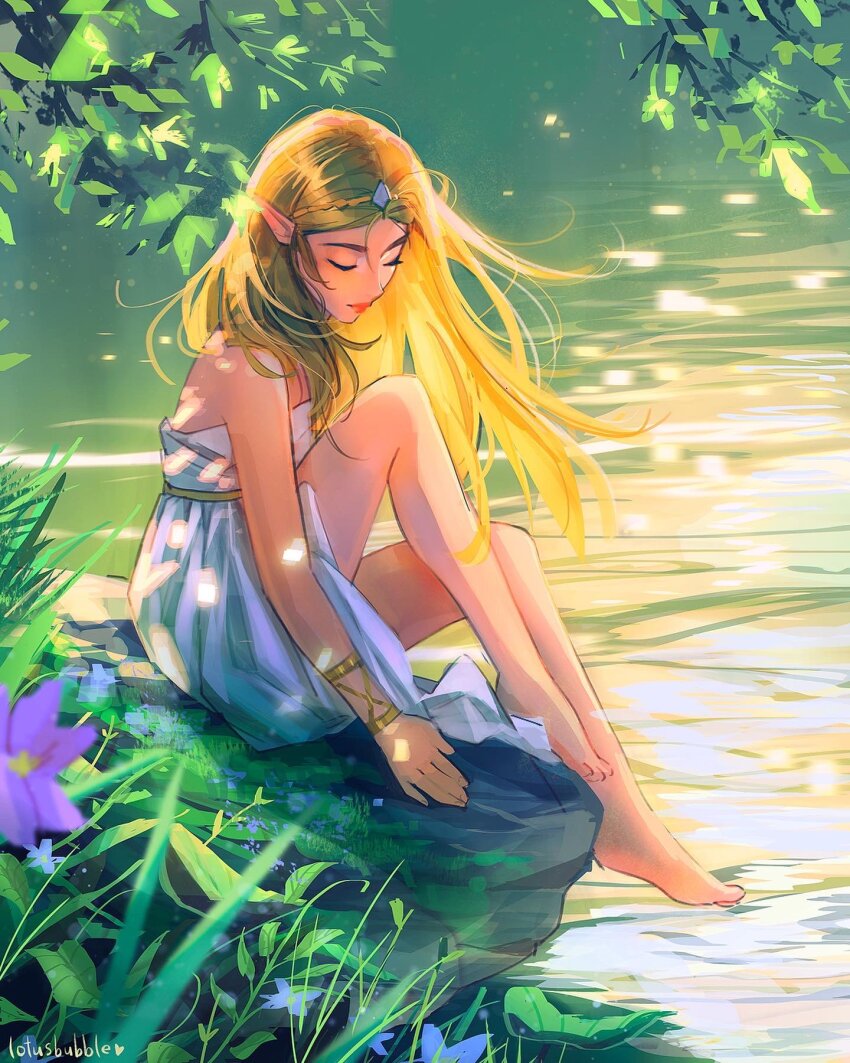 Princess Zelda (Nintendo) Rule 34 Image