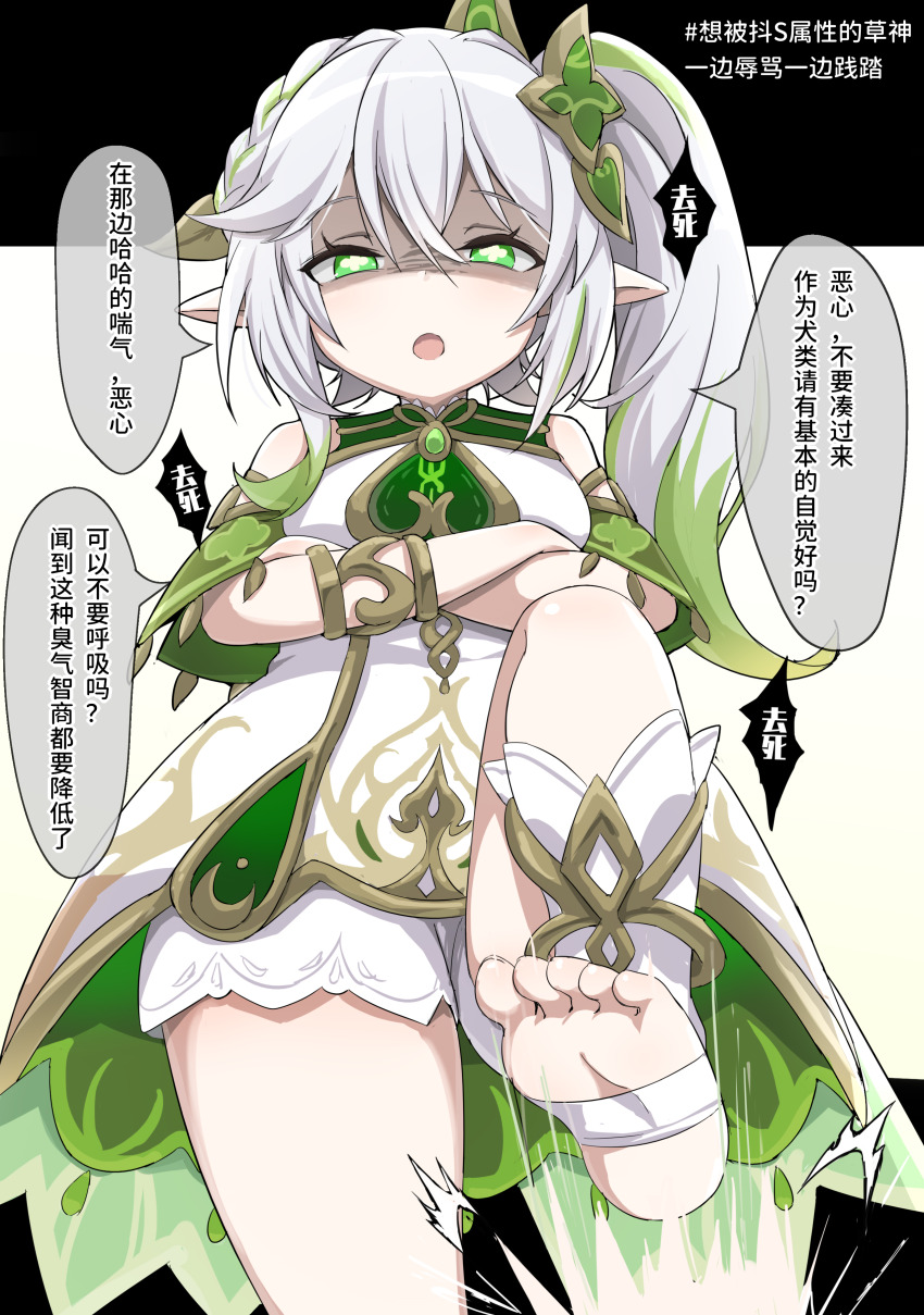Nahida (Genshin Impact) Rule 34 Image