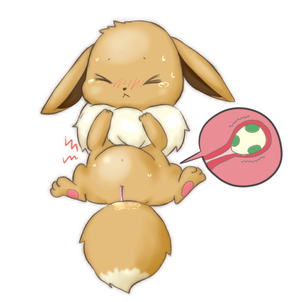 Eevee (Pokemon) Rule 34 Image