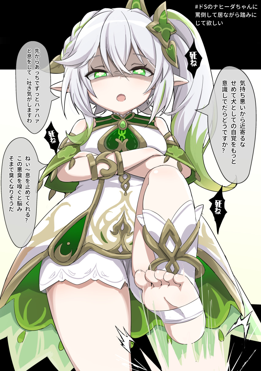 Nahida (Genshin Impact) Rule 34 Image