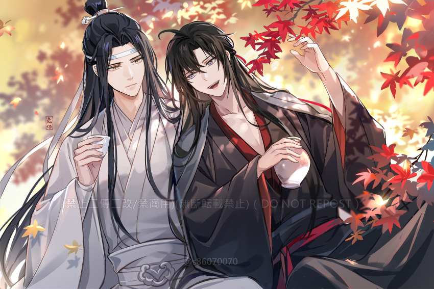Lan Wangji Rule 34 Image