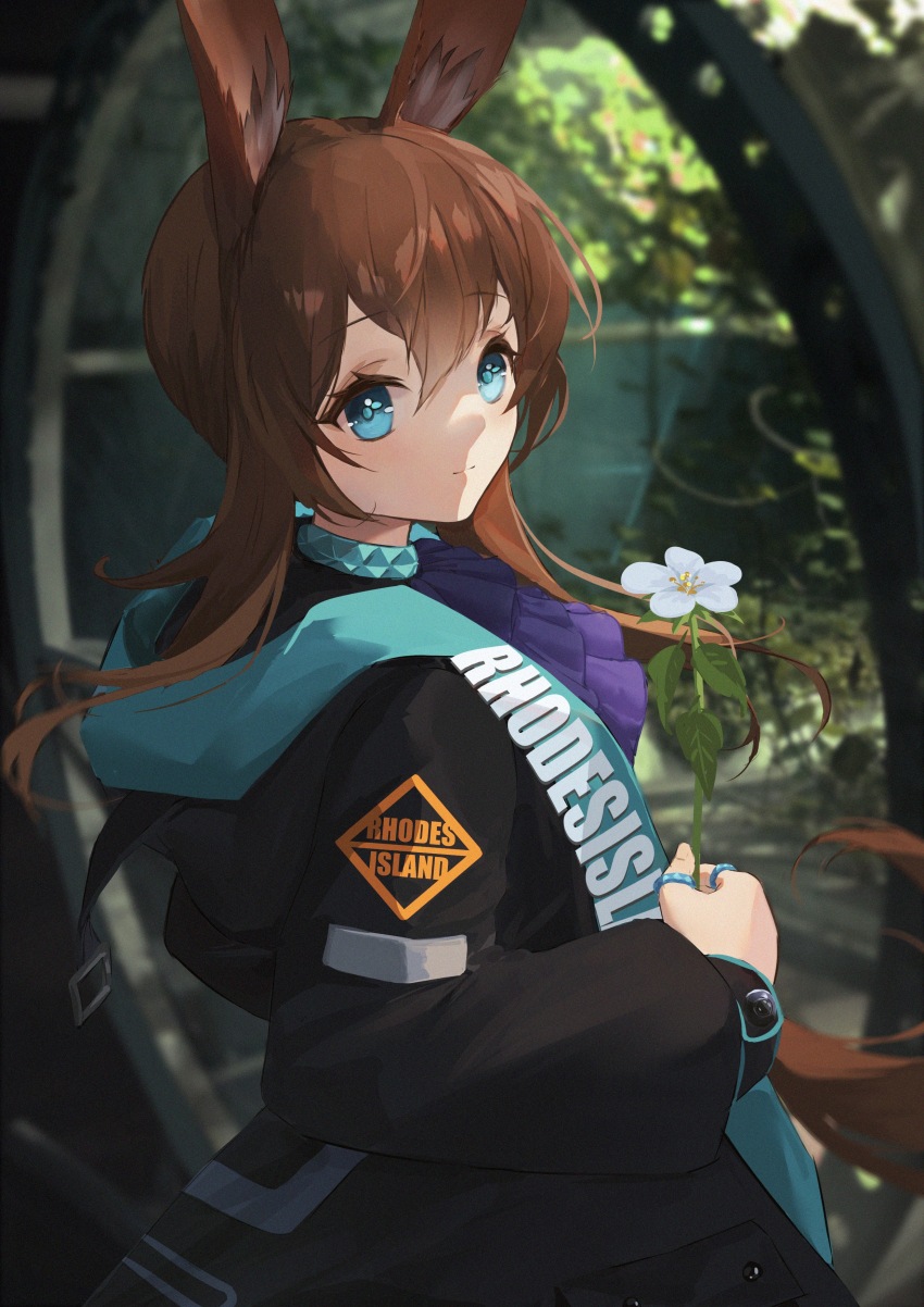 Amiya (Arknights) Rule 34 Image