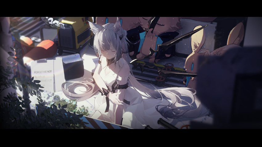 Amiya (Arknights) Rule 34 Image