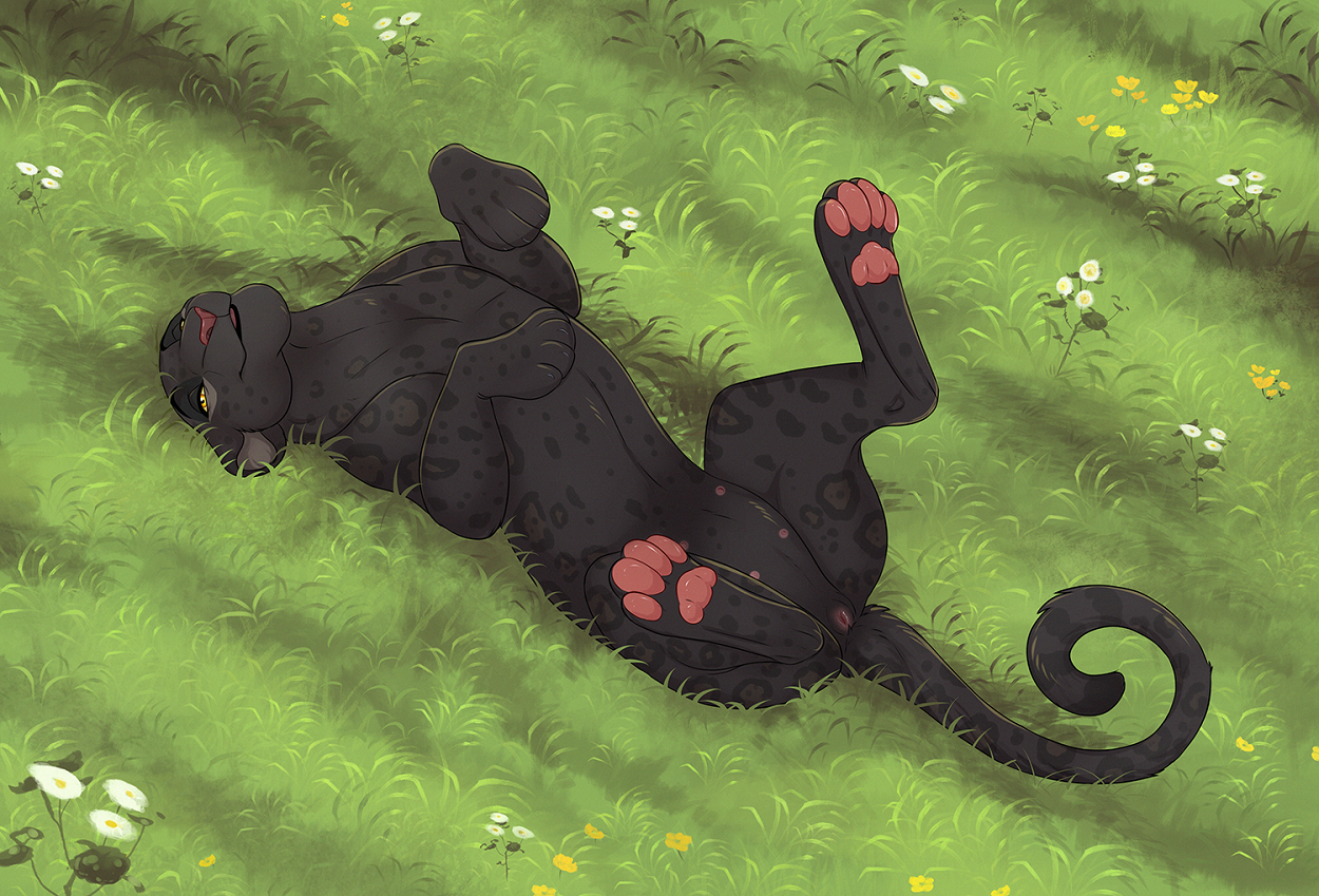 Black Body Rule 34 Image