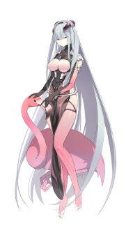Shrug (Clothing) Rule 34 Image