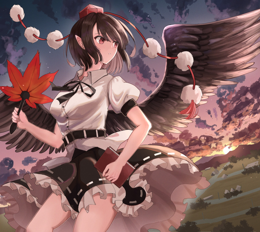 Shameimaru Aya (Touhou) Rule 34 Image