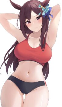 Mejiro Dober (Umamusume) Rule 34 Image