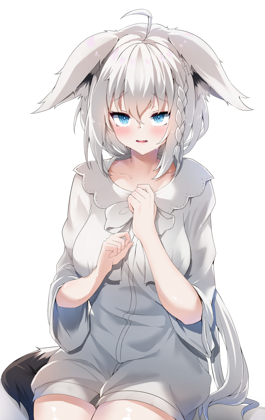 Shirakami Fubuki (Hololive) Rule 34 Image
