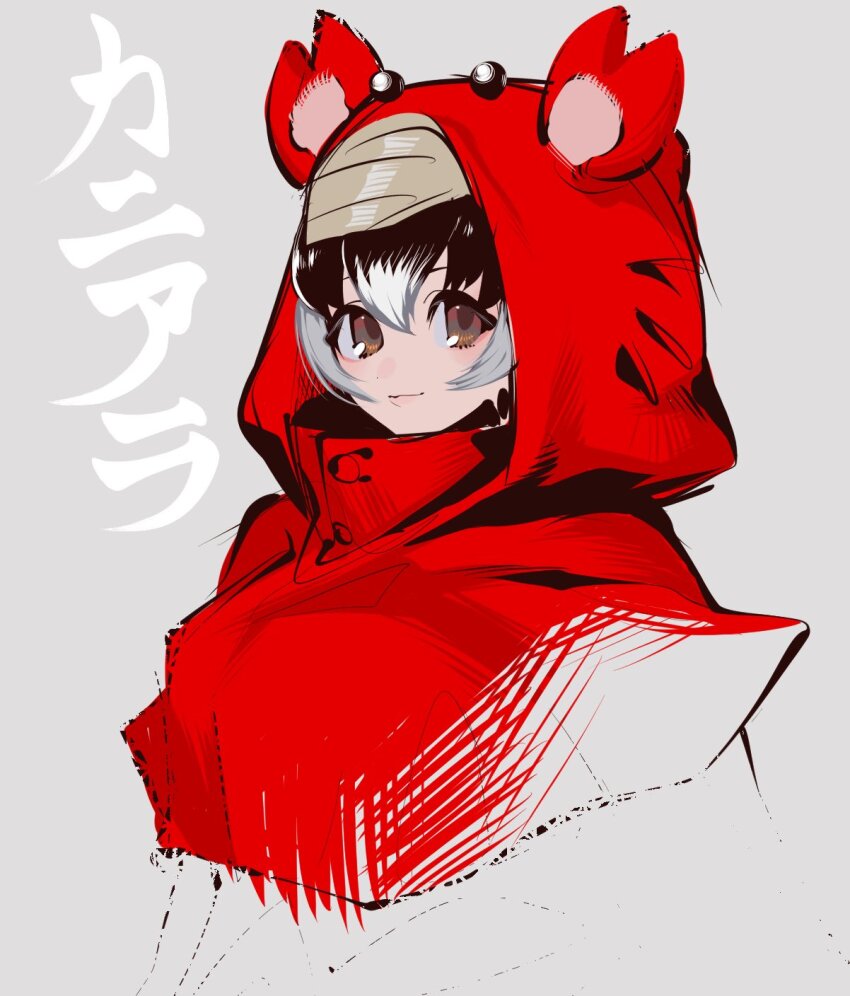 Crab-Eating Raccoon (Kemono Friends) Rule 34 Image