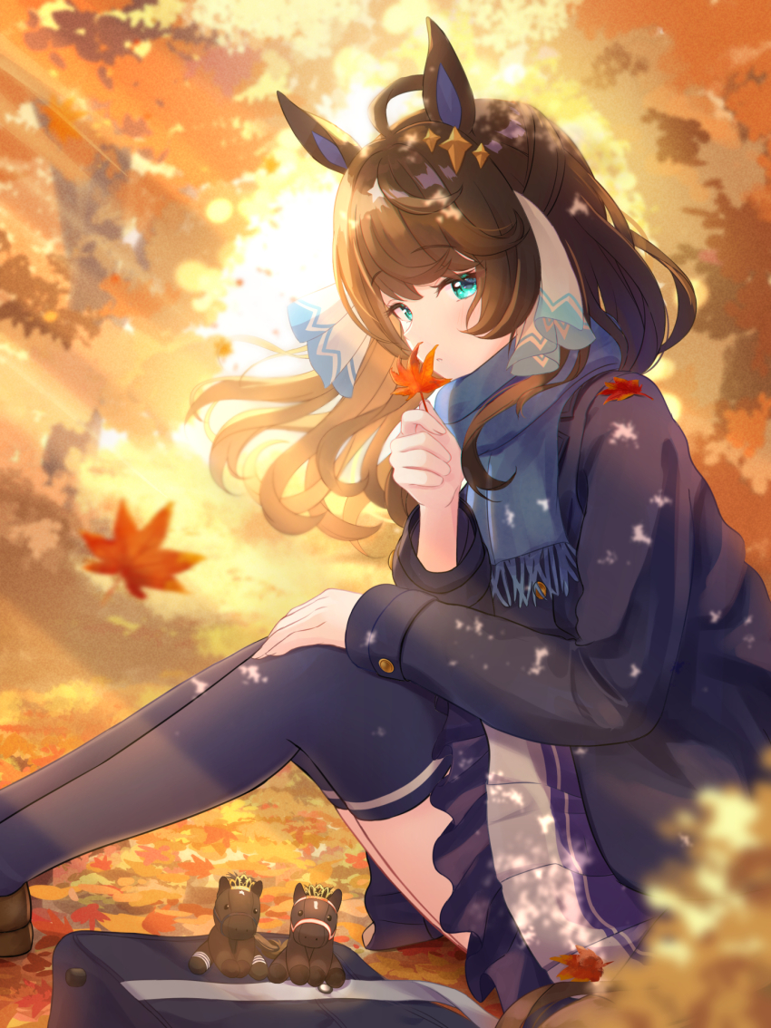 Daring Tact (Umamusume) Rule 34 Image