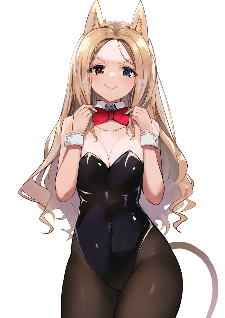 Archetto (Arknights) Rule 34 Image
