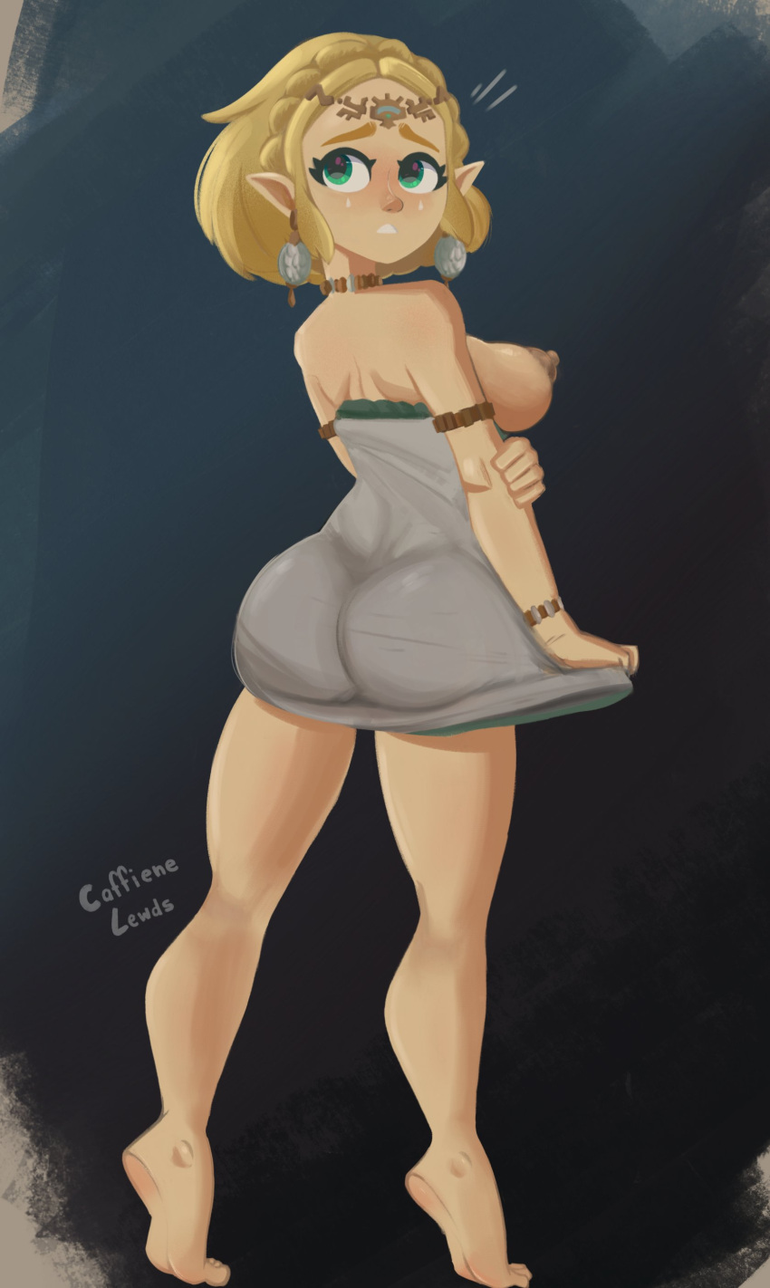 Princess Zelda (Tears Of The Kingdom) Rule 34 Image