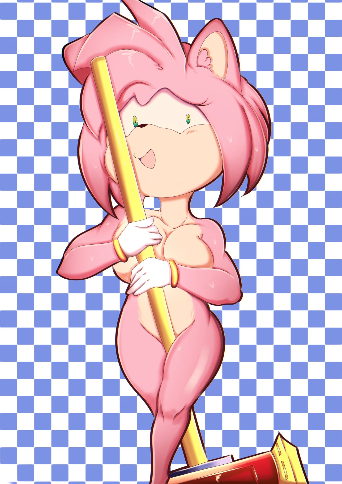 Amy Rose (Sonic (Series)) Rule 34 Image