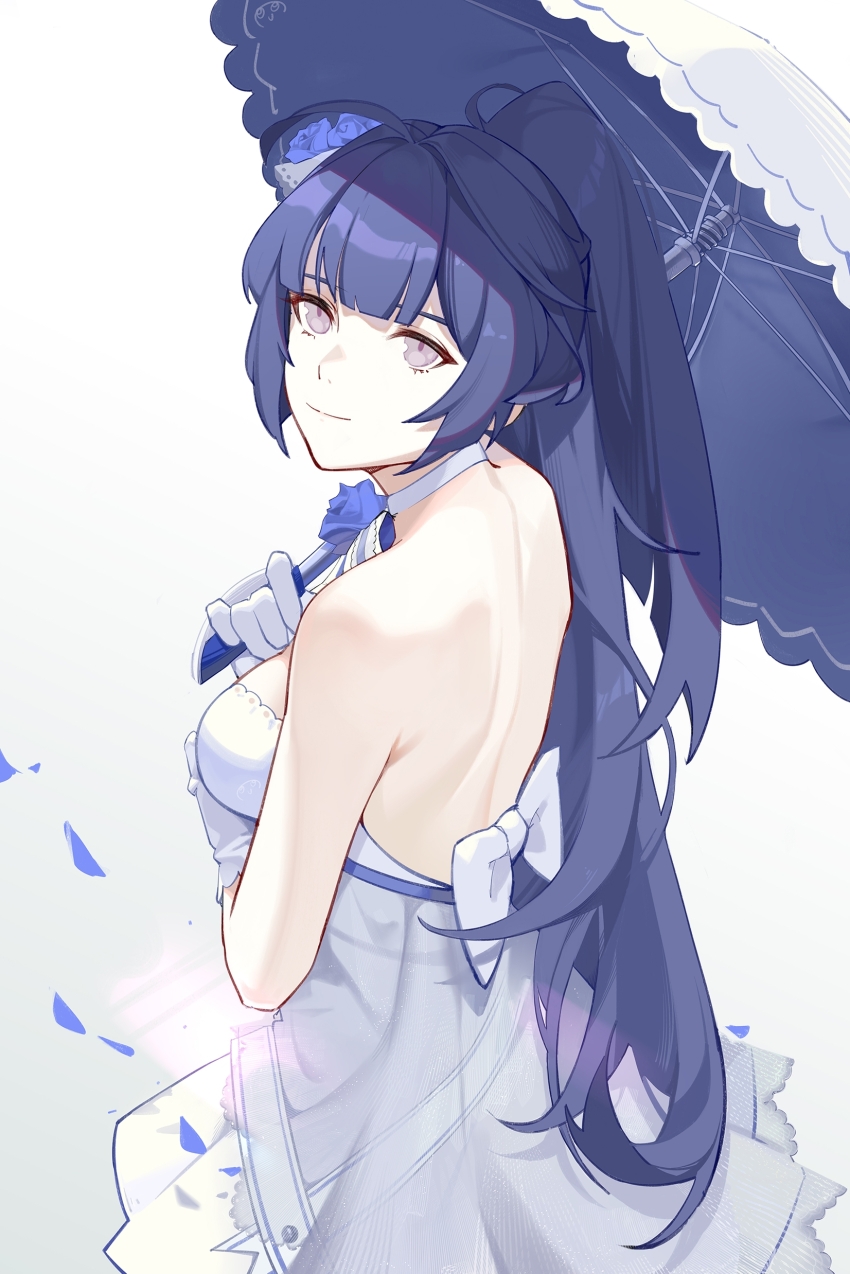 Raiden Mei (Honkai (Series)) Rule 34 Image