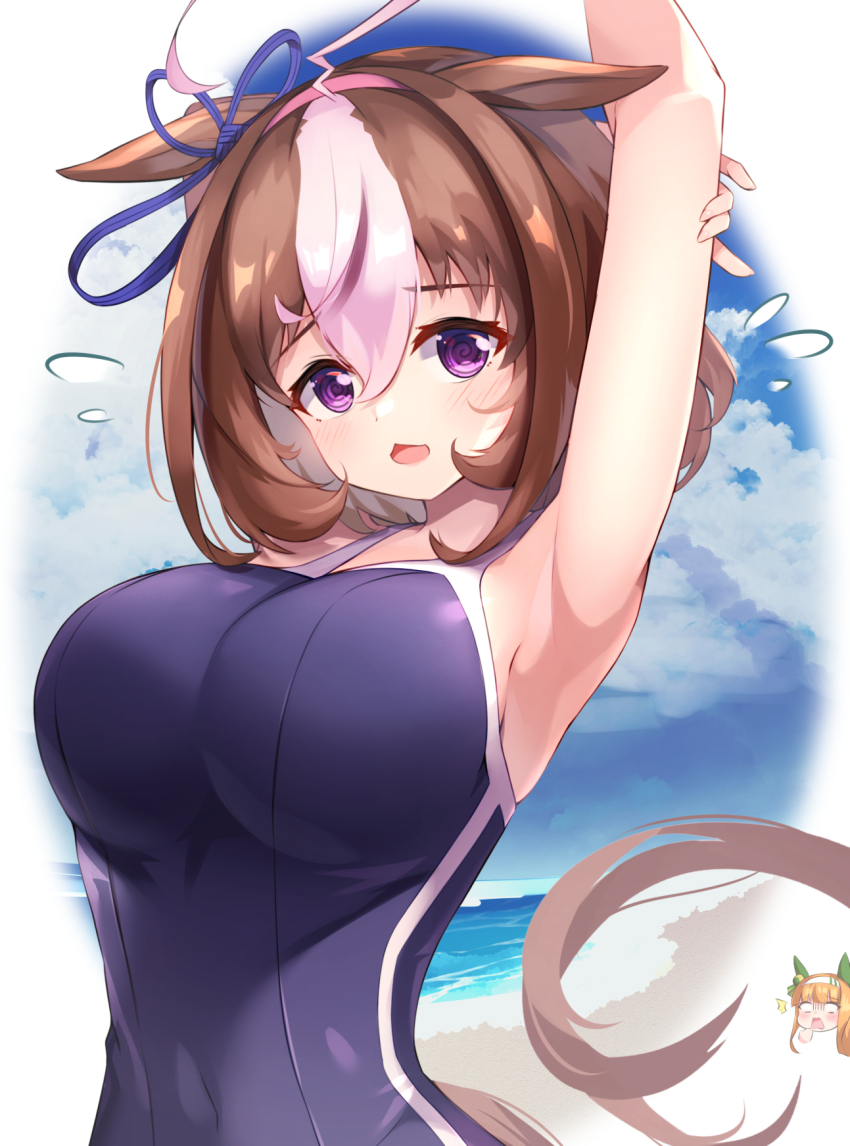 Meisho Doto (Umamusume) Rule 34 Image