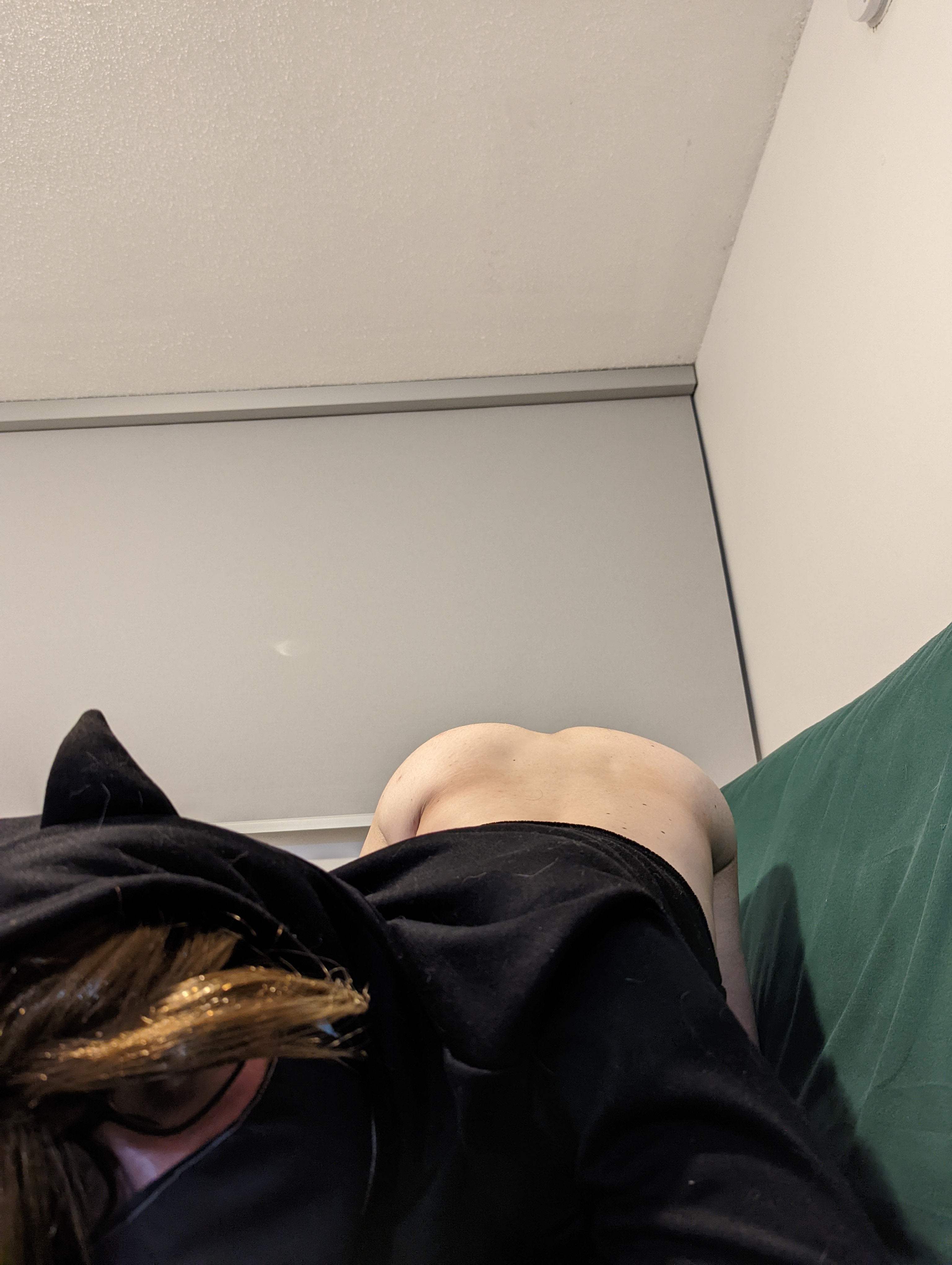 Andy The Fox Rule 34 Image