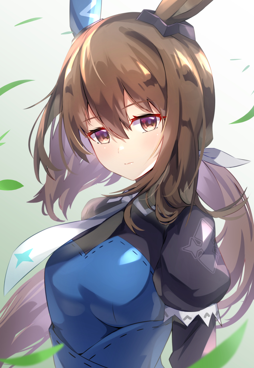 Admire Vega (Umamusume) Rule 34 Image
