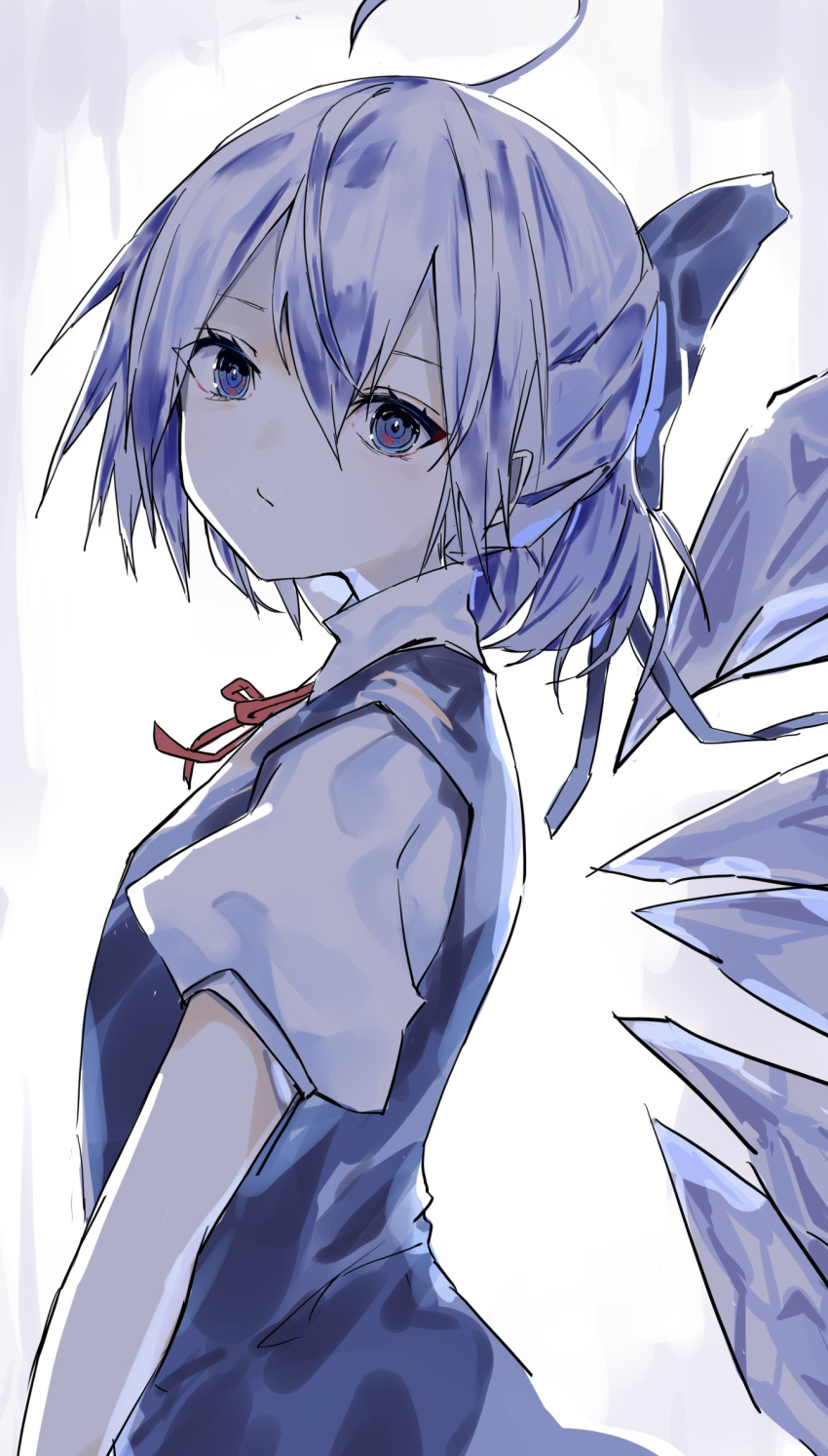 Cirno (Touhou) Rule 34 Image