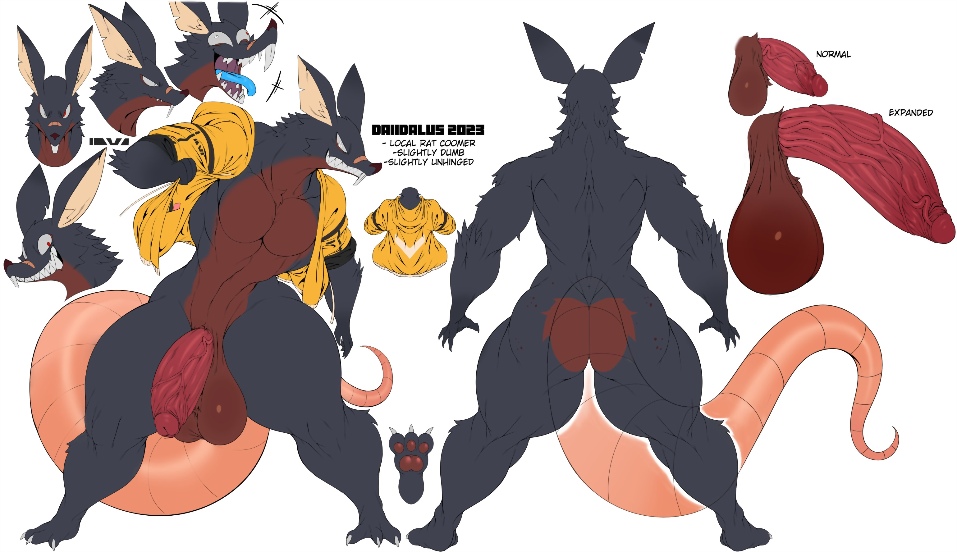 Ass Rule 34 Image