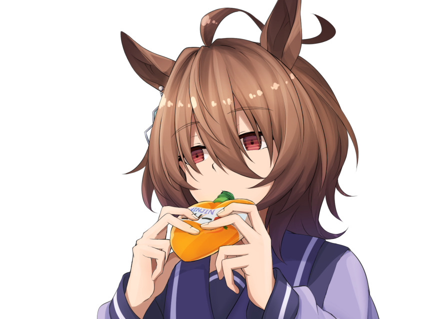 Agnes Tachyon (Umamusume) Rule 34 Image