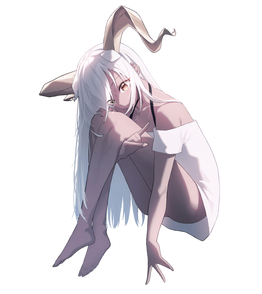 Beeswax (Arknights) Rule 34 Image