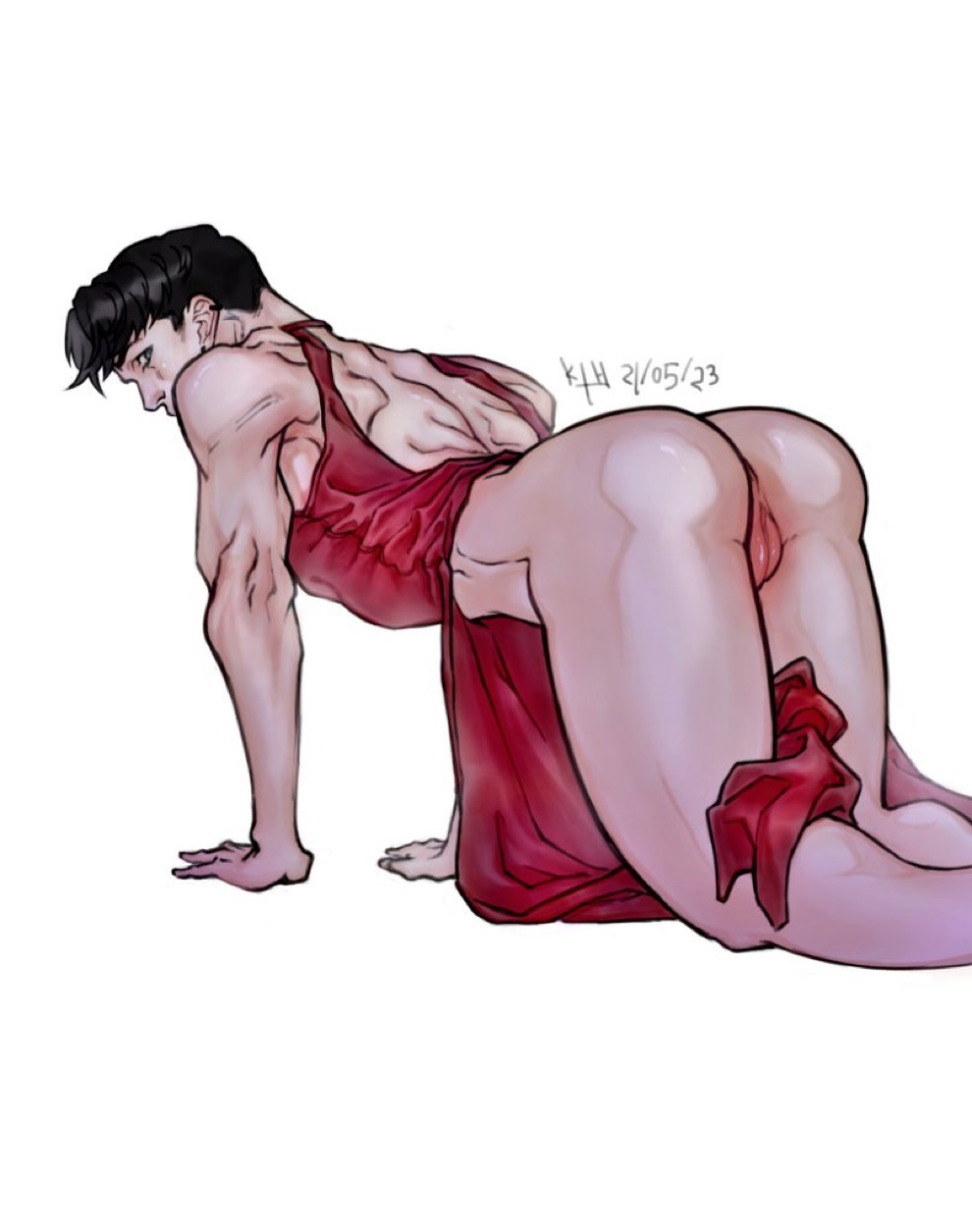 Red Robin (Dc) Rule 34 Image