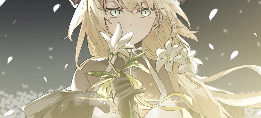 Reed (Arknights) Rule 34 Image