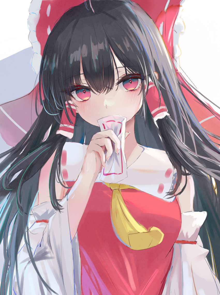 Hakurei Reimu (Touhou) Rule 34 Image