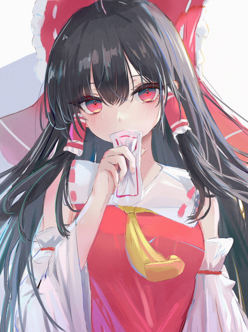 Hakurei Reimu (Touhou) Rule 34 Image