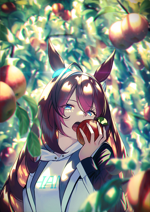 Mihono Bourbon (Umamusume) Rule 34 Image