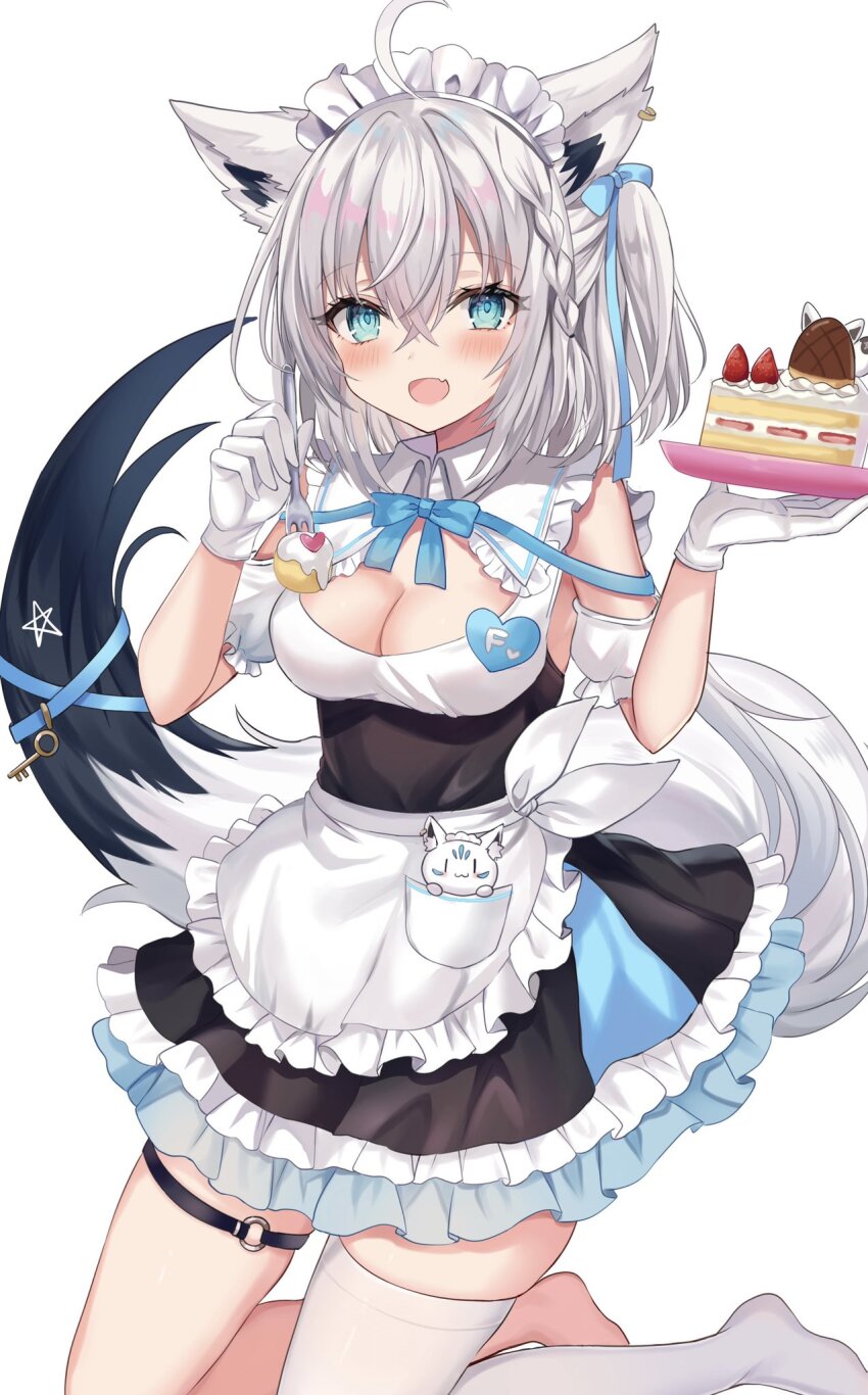 Shirakami Fubuki (Hololive) Rule 34 Image