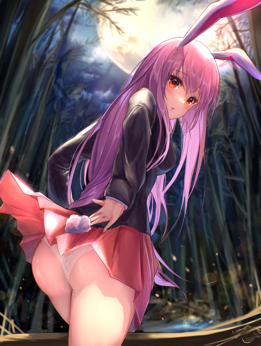 Reisen Udongein Inaba (Touhou) Rule 34 Image