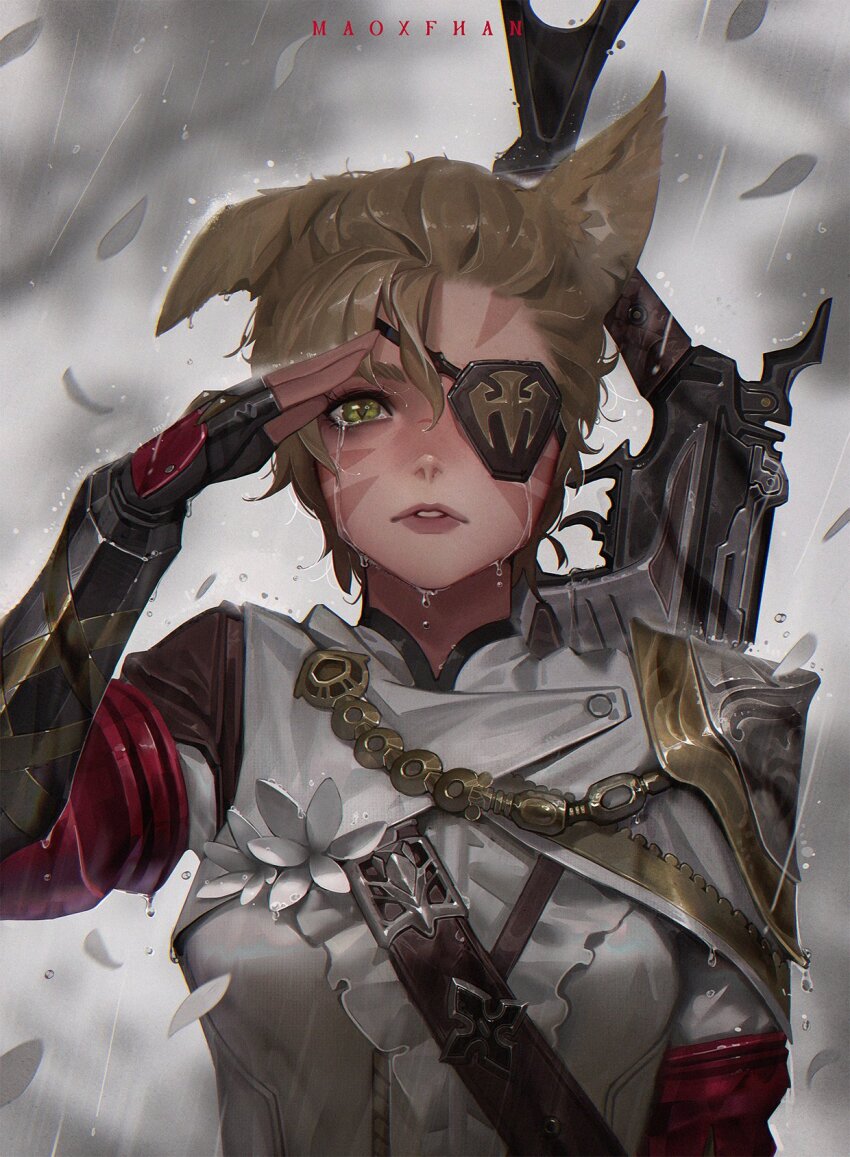 Warrior Of Light (Ff14) Rule 34 Image
