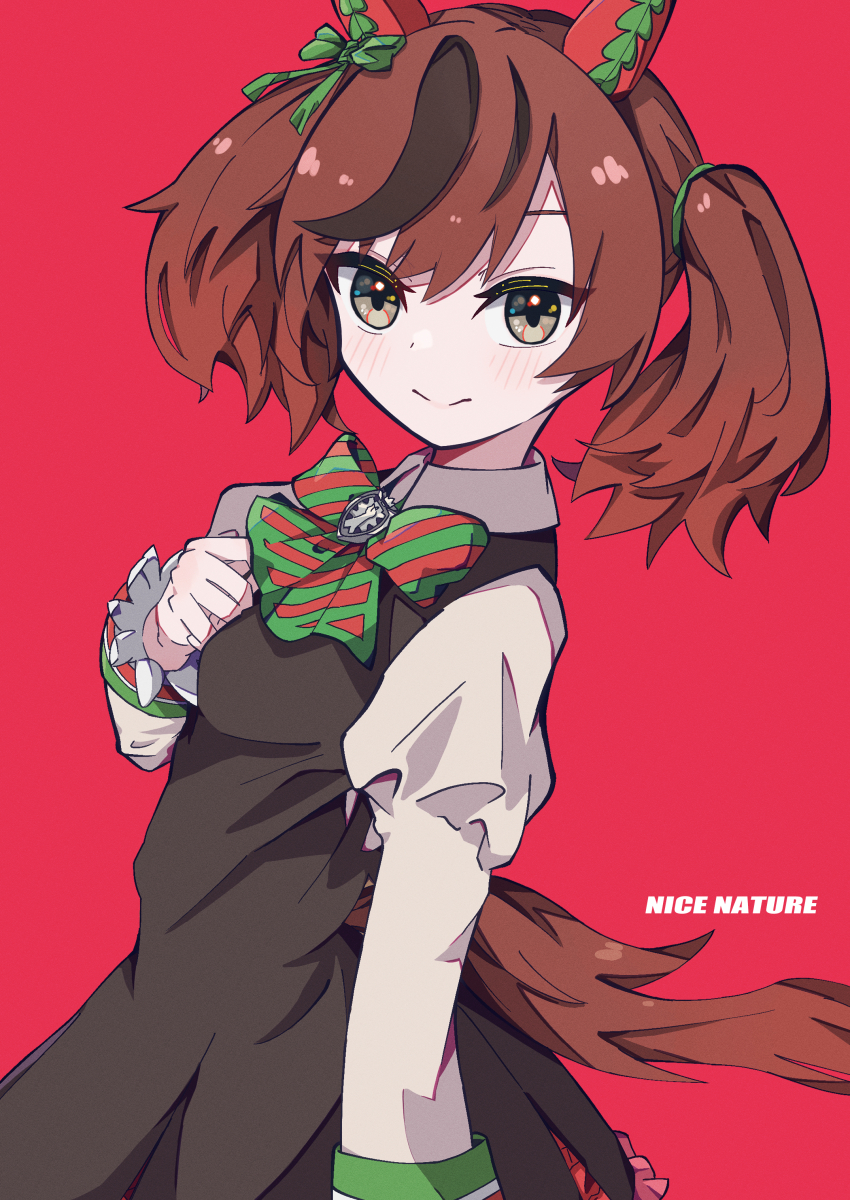 Nice Nature (Umamusume) Rule 34 Image
