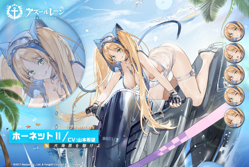 Hornet (Azur Lane) Rule 34 Image