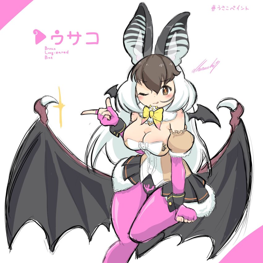 Brown Long-Eared Bat (Kemono Friends) Rule 34 Image