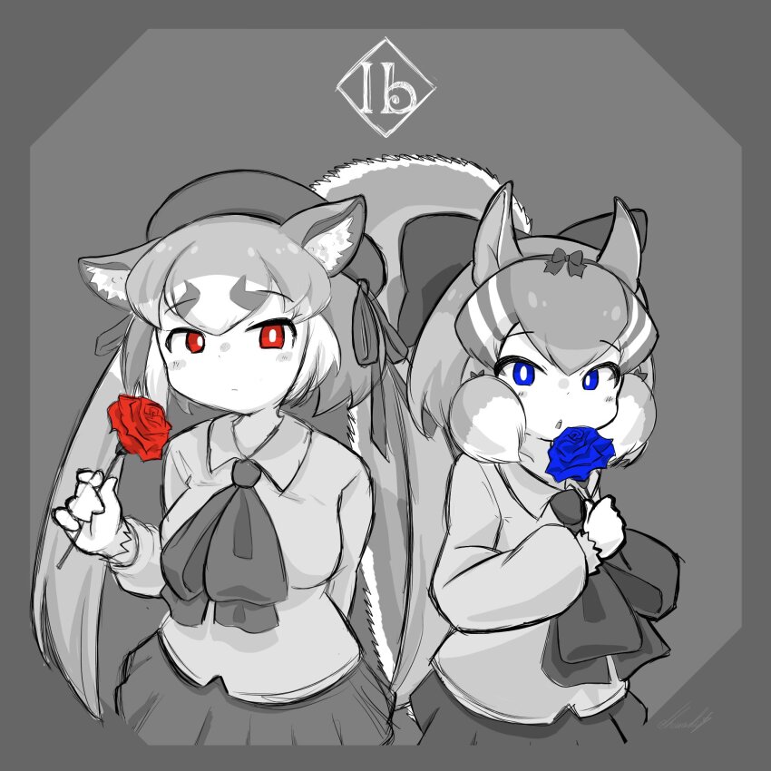 Island Fox (Kemono Friends) Rule 34 Image