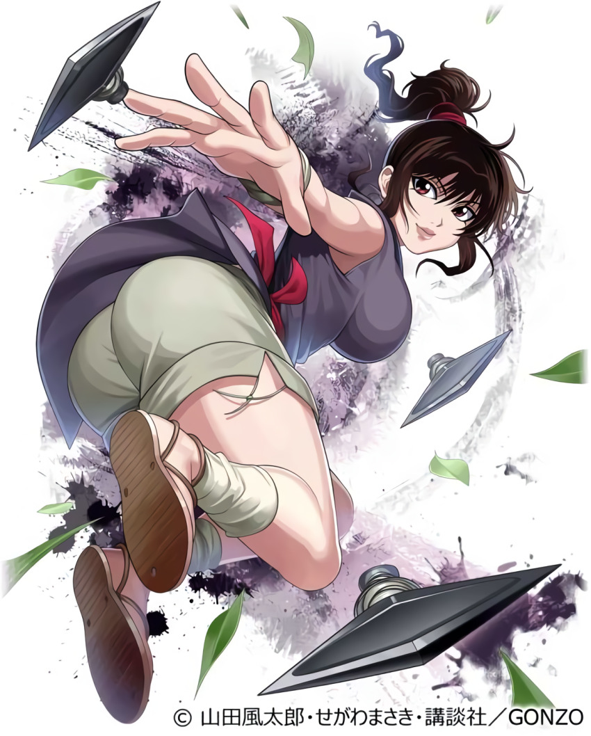 Okoi (Basilisk (Manga)) Rule 34 Image